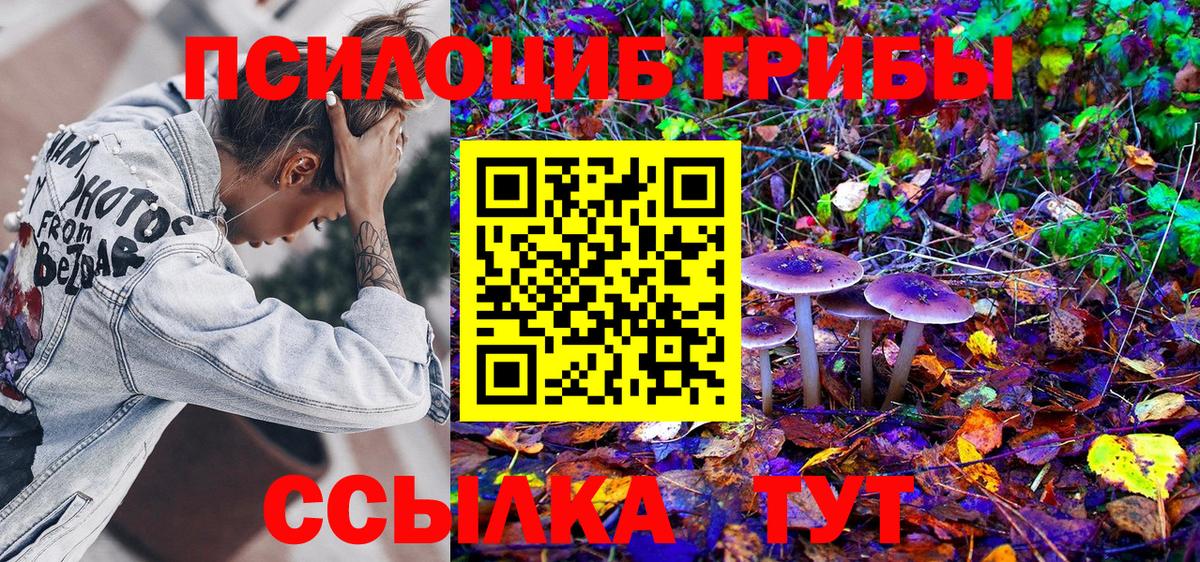 Псилоцибиновые грибы мухоморы  Вход с VPN  что такое   Жуковский 