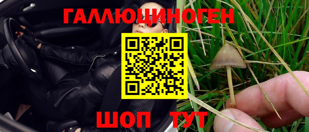 Псилоцибиновые грибы Cubensis Жуковский